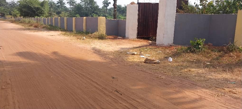 Construction Project 4